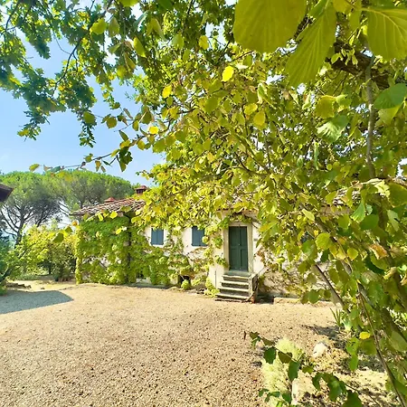 Podere Il Cellaino 雷杰洛
