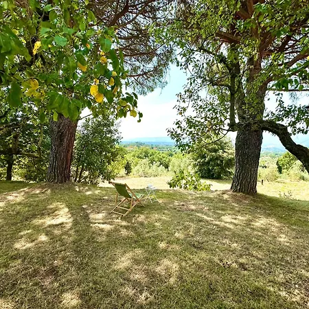 Podere Il Cellaino