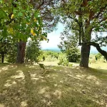 Podere Il Cellaino