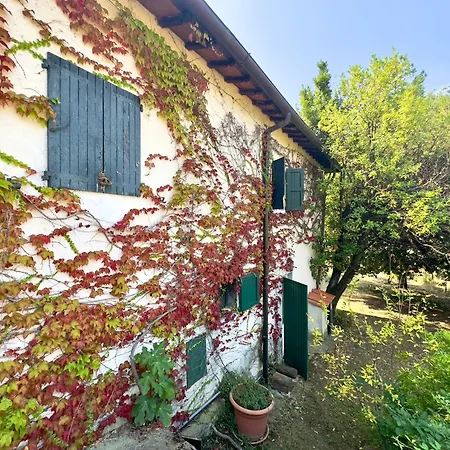 Podere Il Cellaino
